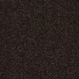 Stainfree Caress Carpet by Abingdon