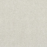 Champagne Stainfree Caress Carpet by Abingdon