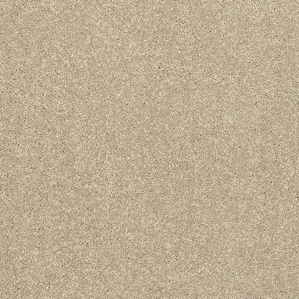 Latte Stainfree Caress Carpet