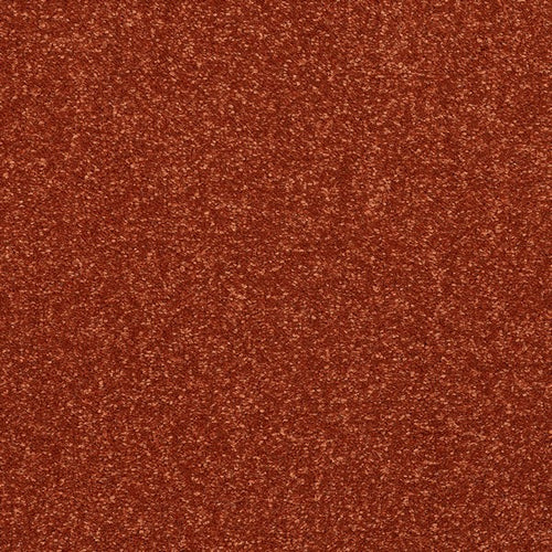 Terracotta Stainfree Caress Carpet