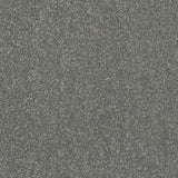 Titanium Stainfree Caress Carpet by Abingdon