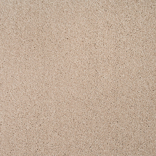 Carnation 38 Orion 50oz Invictus Carpet Clearance