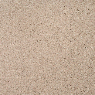 Carnation 38 Orion 50oz Invictus Carpet Clearance