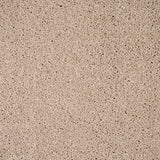 Carnation 38 Orion 50oz Invictus Carpet Clearance