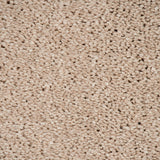 Carnation 38 Orion 50oz Invictus Carpet Clearance