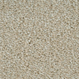 White Swan 03 Cassius 70oz Heathers Invictus Carpet