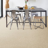 White Swan 03 Cassius 70oz Heathers Invictus Carpet