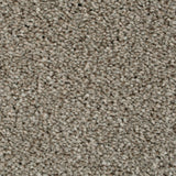 Highgate 09 Cassius 70oz Heathers Invictus Carpet Clearance