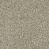 Lilylock 29 Cassius 70oz Heathers Invictus Carpet