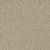 Temple 33 Cassius 70oz Heathers Invictus Carpet