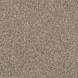 Cassius 70oz Heathers Invictus Carpet