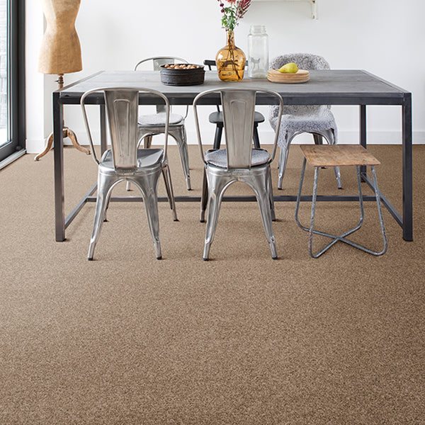 Invictus carpet clearance