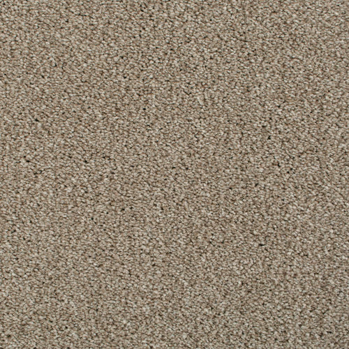 Soya 37 Cassius 70oz Heathers Invictus Carpet Clearance