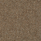 Cassius 70oz Heathers Invictus Carpet