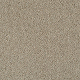 Cassius 70oz Heathers Invictus Carpet