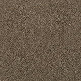 Nova 40 Cassius 70oz Heathers Invictus Carpet Clearance