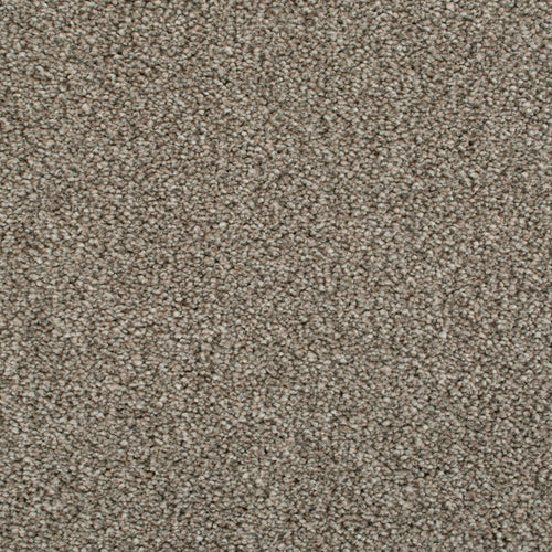 Linseed 41 Cassius 70oz Heathers Invictus Carpet Clearance