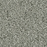 Silver Thaw 93 Cassius 70oz Heathers Invictus Carpet