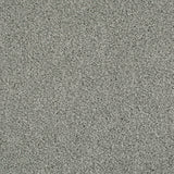 Silver Thaw 93 Cassius 70oz Heathers Invictus Carpet