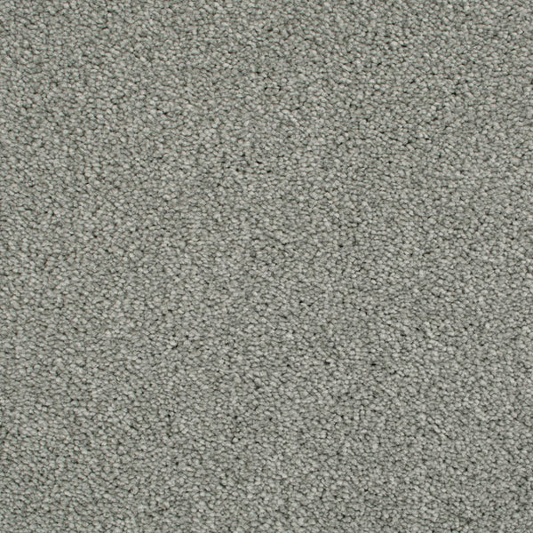 Silver Thaw 93 Cassius 70oz Heathers Invictus Carpet