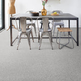 Silver Thaw 93 Cassius 70oz Heathers Invictus Carpet