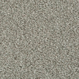 Duante 94 Cassius 70oz Heathers Invictus Carpet