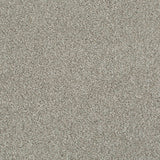 Duante 94 Cassius 70oz Heathers Invictus Carpet