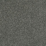 Cassius 70oz Heathers Invictus Carpet