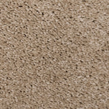 Champagne 39 Orion 50oz Invictus Carpet