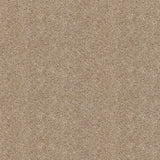 Champagne 39 Orion 50oz Invictus Carpet