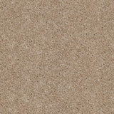 Champagne 39 Orion 50oz Invictus Carpet