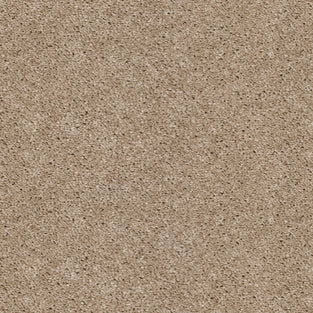 Champagne 39 Orion 50oz Invictus Carpet