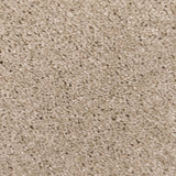 Champagne 39 Sirius 70oz Invictus Carpet