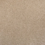 Champagne 39 Sirius 70oz Invictus Carpet