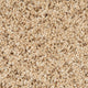 Champagne Highlife Stainfree Carpet