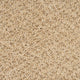 Champagne Highlife Stainfree Carpet