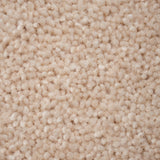 Champagne 50oz Home Counties Carpet by Cormar