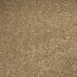 Stainfree Royale Carpet