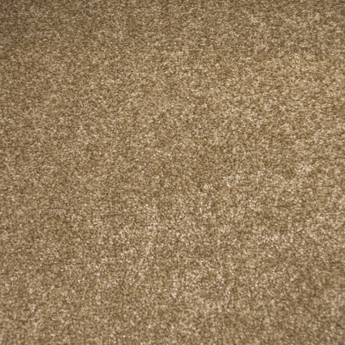 Champagne Stainfree Emperor Carpet