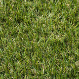 Chapelfields 22mm Artificial Grass