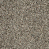 Woodland Heather 55oz Twist Deluxe Carpet