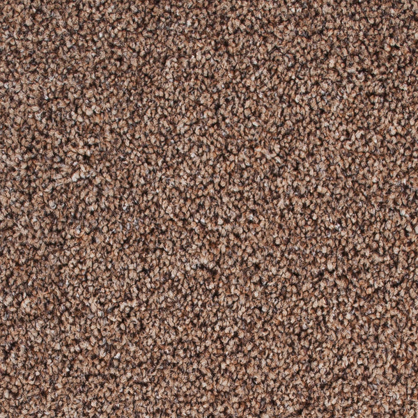 Chocolate Chip 850 Grand National Carpet