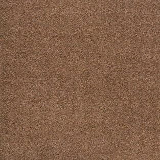 Chocolate 996 Easy Living Carpet