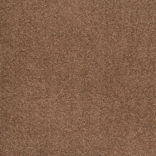 Chocolate 996 Easy Living Carpet