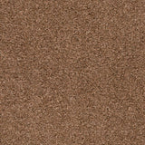 Chocolate 996 Easy Living Carpet