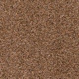 Chocolate 996 Easy Living Carpet