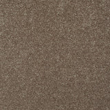 Chocolate Brown 72 Hudson Carpet