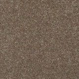 Chocolate Brown 72 Hudson Carpet