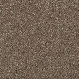 Chocolate Brown 72 Hudson Carpet