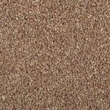 Chocolate StainFree Panache Carpet